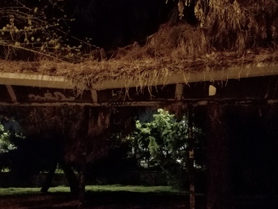 Επικίνδυνη στάση αστικής συγκοινωνίας