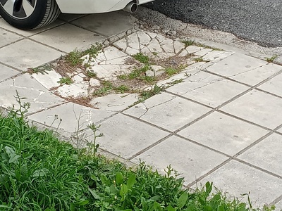 ΚΑΘΙΖΗΣΗ-ΣΠΑΣΜΕΝΑ ΠΛΑΚΑΚΙΑ