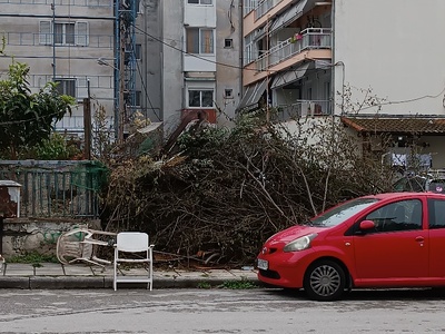 Απομακρυνση κομμενων κλαδιων κ ψοφιας γάτας ν κ σκουπιδιων