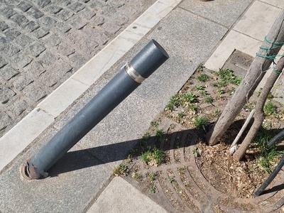 Ξηλωμένα πασαλάκια