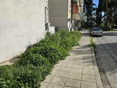 Κουρεμα Χορτα