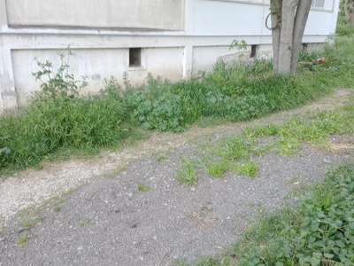 κοπη χόρτων