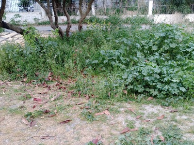 κοπη χόρτων