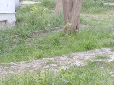 κοπη χόρτων