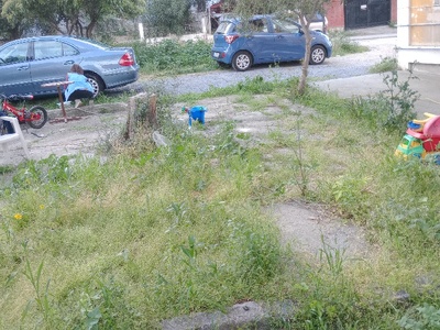 κοπη χόρτων