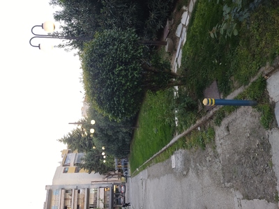 Ανοιχτά φωτα