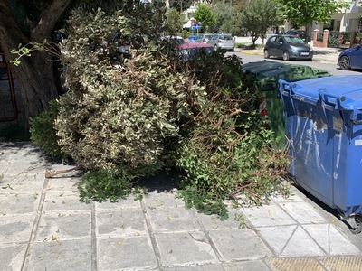 αποκομιδή κλαδιών