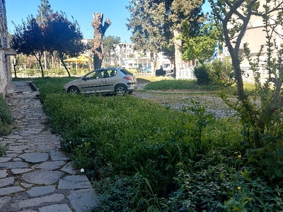 Κουρεμα χορτων.