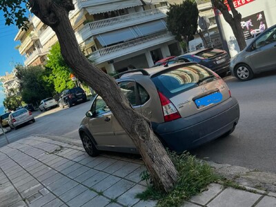 ΚΟΠΗ ΔΕΝΤΡΟΥ ΣΤΗΝ ΠΡΟΥΣΗΣ ΜΕ ΤΑΞΙΑΡΧΩΝ  ΓΩΝΙΑ