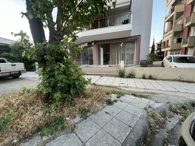 Καθαρισμος χορτων και δεντρων Κωνσταντίνου Καραμανλή