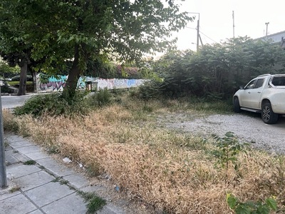 Καθαρισμος χορτων και δεντρων Κωνσταντίνου Καραμανλή