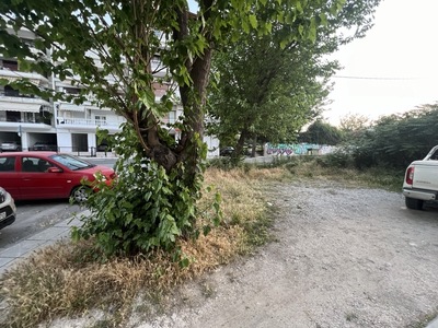 Καθαρισμος χορτων και δεντρων Κωνσταντίνου Καραμανλή