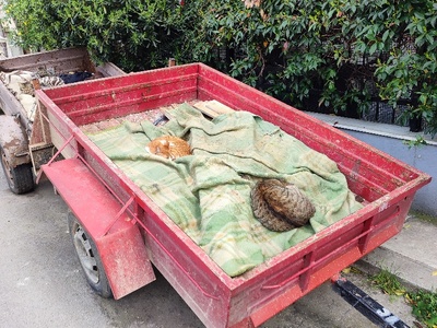 Βρωμια σε στασιμα οχηματα .