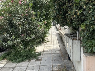 διελευση πεζων