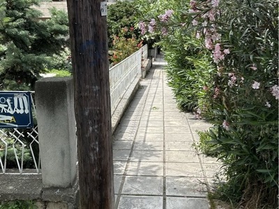 διελευση πεζων