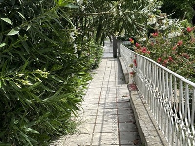 διελευση πεζων