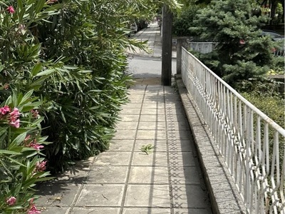 διελευση πεζων