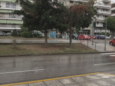 ΚΟΠΗ ΞΕΡΟΥ ΚΛΑΔΙΟΥ ΣΤΗΝ ΔΙΑΧΩΡΙΣΤΙΚΗ ΝΗΣΙΔΑ  ΧΗΛΗΣ