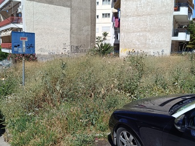 ΜΕΓΑΛΑ ΧΟΡΤΑ  οικόπεδο  Πίνδου