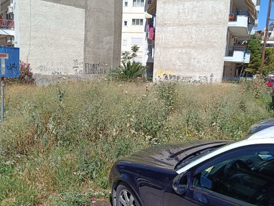 ΜΕΓΑΛΑ ΧΟΡΤΑ  οικόπεδο  Πίνδου