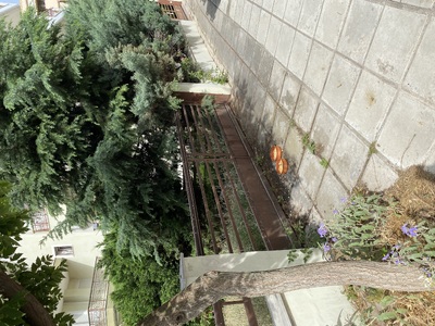 Ρύπανση με φαγητά για γάτες