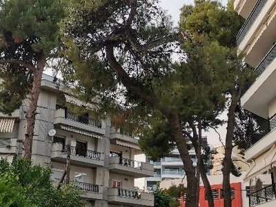 Κλάδεμα πεύκου