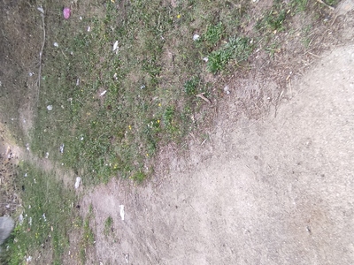 Καθαρισμός σκουπιδιών σε γήπεδο μπάσκετ Άλσος Νέας Κρήνης