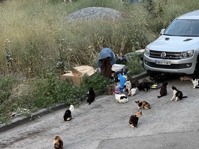 Υγιεινή δίπλα σε νηπιαγωγείο