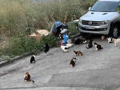 Υγιεινή δίπλα σε νηπιαγωγείο