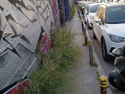 Κούρεμα χορτων