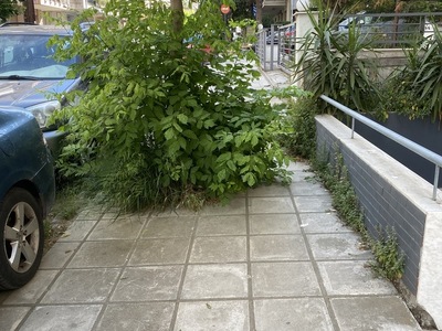 Το παρατημενο Βοτση