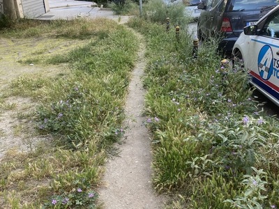 το παρατημενο Βοτση