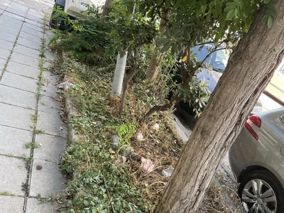 καθαρισμος  	Βουλγαροκτόνου