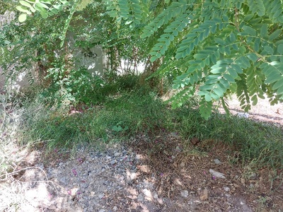 Κίνδυνος Πυρκαγιας και Μολυνσης