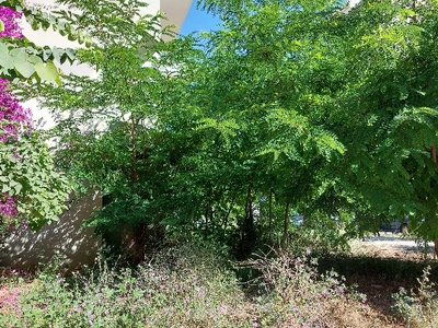 Κίνδυνος Πυρκαγιας και Μολυνσης