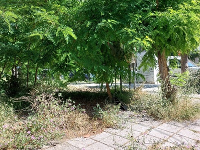 Κίνδυνος Πυρκαγιας και Μολυνσης