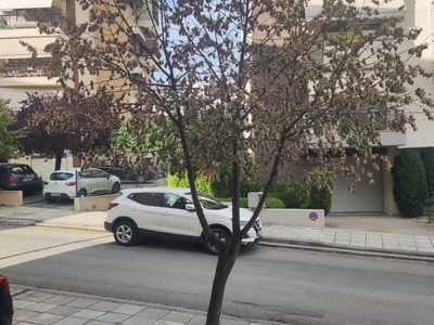 Άρρωστο δέντρο στην οδό Δεληγιαννίδη 8Β
