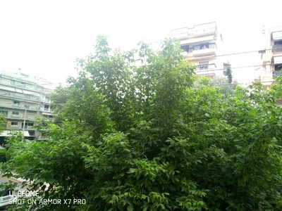 Κλαδεμα δενδρου που εφτασε στα καλωσια