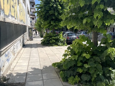 Περιποιηση δενδροδόχου  	Περικλέους