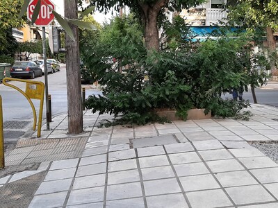 ΚΑΘΑΡΙΣΜΌΣ ΠΕΖΟΔΡΟΜΙΩΝ - ΔΕΝΤΡΩΝ   ΑΡΙΣΤΟΦΑΝΟΥΣ και ΕΠΑΝΩΜΗΣ