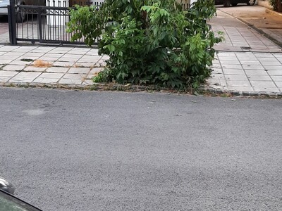 ΚΑΘΑΡΙΣΜΌΣ ΠΕΖΟΔΡΟΜΙΩΝ - ΔΕΝΤΡΩΝ   ΑΡΙΣΤΟΦΑΝΟΥΣ και ΕΠΑΝΩΜΗΣ