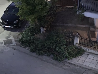 αποκομιδή κλαδιών  Γαβράδων