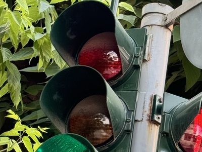 Τα κλαδιά έχουν καλύψει εντελώς τον αισθητήρα-κάμερα κίνησης του φωτεινού σηματοδότη Δημ. Καραολή