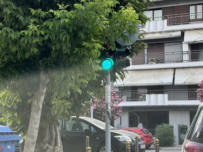 Τα κλαδιά έχουν καλύψει εντελώς τον αισθητήρα-κάμερα κίνησης του φωτεινού σηματοδότη Δημ. Καραολή