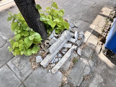 μπάζα 	Αριστοτέλους