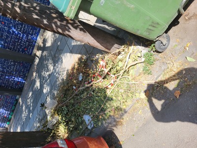 Μπάζα  	Σοφούλη