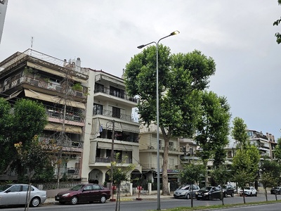 led καμενο 	καπεταν Γκόνη