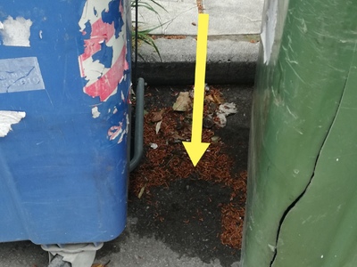 Καθαρισμός σημείων με κάδους