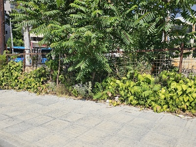 καθαρισμος πεζοδρόμιο  	Γεώργιου Παπανδρέου