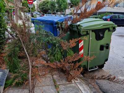 Αποκομιδή κλαδιών από πεζοδρομιο  Φαναρίου και Αντιγονης